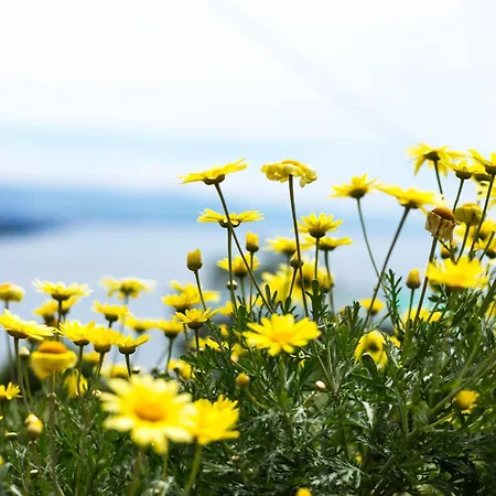 Casa Vacanze Opatija